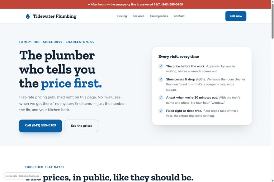 Plumbing company demo site